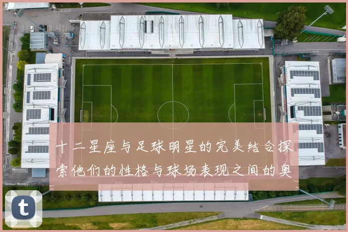 十二星座与足球明星的完美结合探索他们的性格与球场表现之间的奥秘