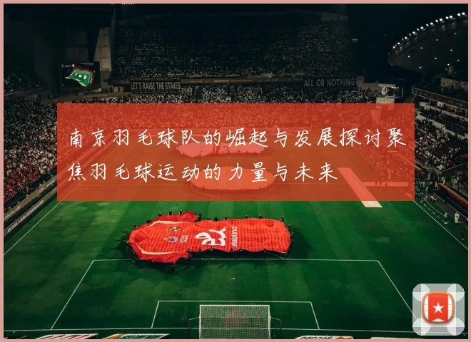 南京羽毛球队的崛起与发展探讨聚焦羽毛球运动的力量与未来