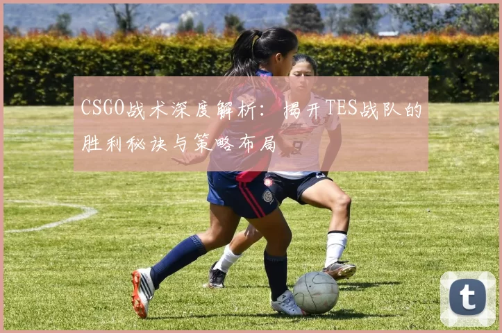 CSGO战术深度解析：揭开TES战队的胜利秘诀与策略布局