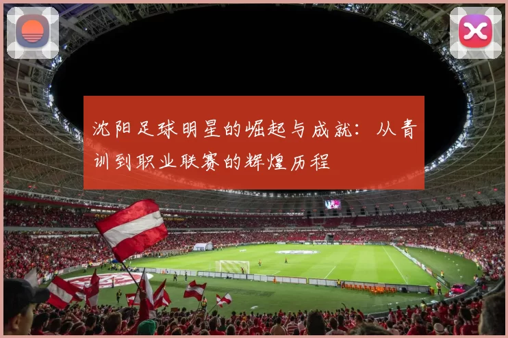 沈阳足球明星的崛起与成就：从青训到职业联赛的辉煌历程