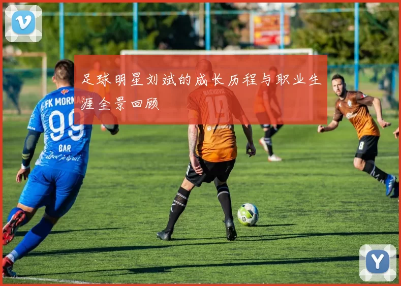 足球明星刘斌的成长历程与职业生涯全景回顾
