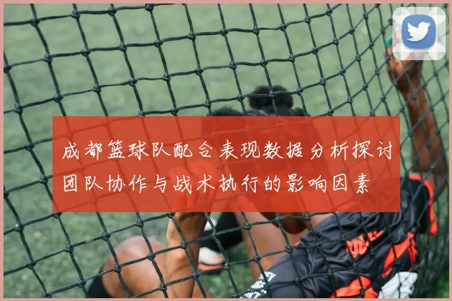 成都篮球队配合表现数据分析探讨团队协作与战术执行的影响因素