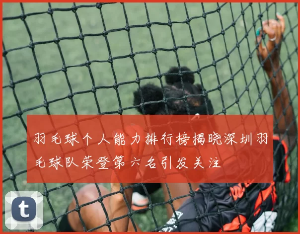 羽毛球个人能力排行榜揭晓深圳羽毛球队荣登第六名引发关注