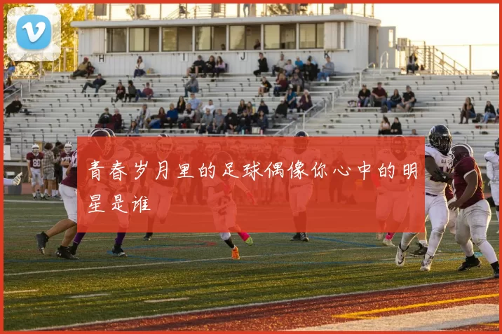 青春岁月里的足球偶像你心中的明星是谁