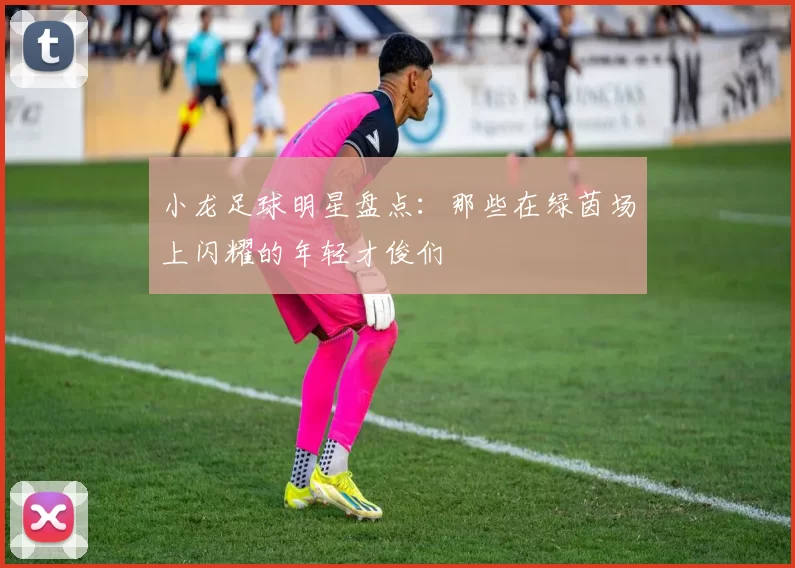 小龙足球明星盘点：那些在绿茵场上闪耀的年轻才俊们