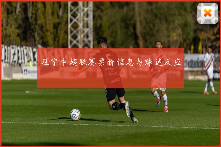 辽宁中超联赛票价信息与球迷反应