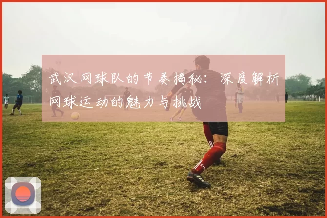 武汉网球队的节奏揭秘：深度解析网球运动的魅力与挑战