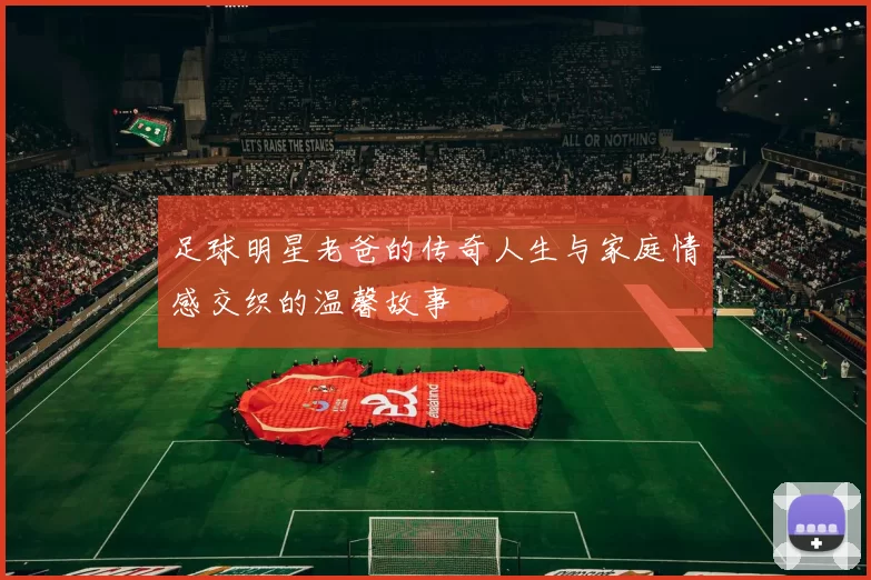 足球明星老爸的传奇人生与家庭情感交织的温馨故事