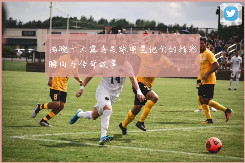 揭晓十大露鸟足球明星他们的精彩瞬间与传奇故事