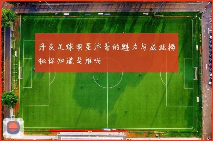 丹麦足球明星帅哥的魅力与成就揭秘你知道是谁吗