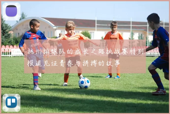 杭州排球队的成长之路挑战赛特别报道见证青春与拼搏的故事