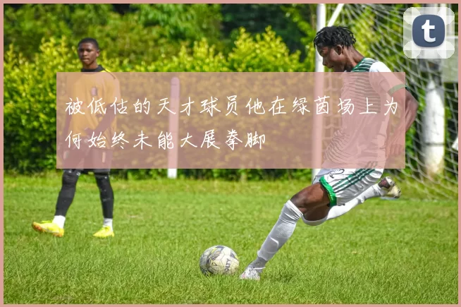 被低估的天才球员他在绿茵场上为何始终未能大展拳脚