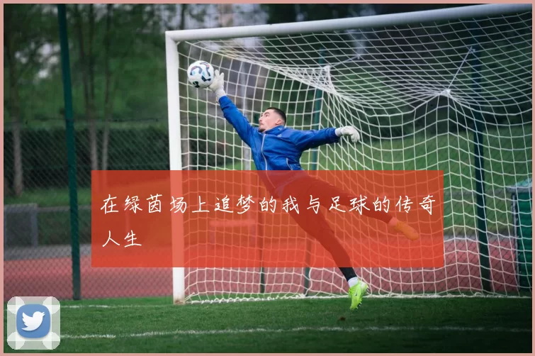 在绿茵场上追梦的我与足球的传奇人生
