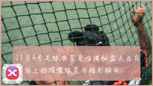11月4号足球明星是谁揭秘盘点当日赛场上的璀璨球星与精彩瞬间